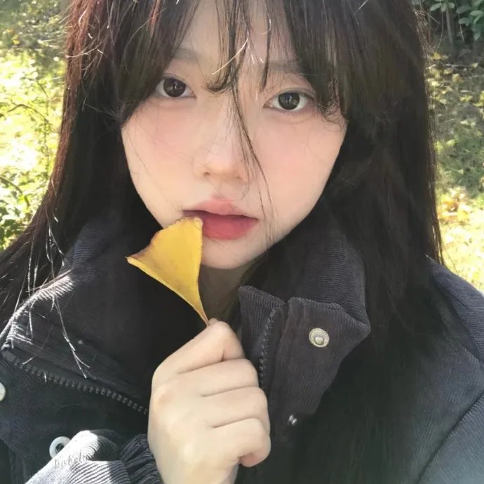 未来忍者 庆云机忍外传