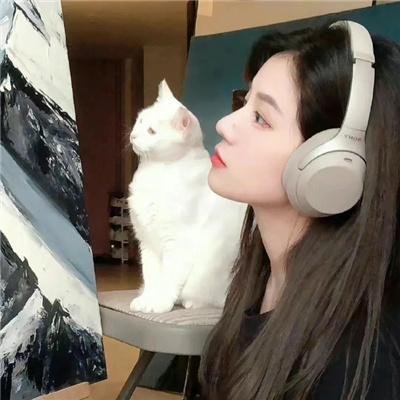 琴韵补情天